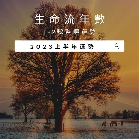 2023生命靈數流年